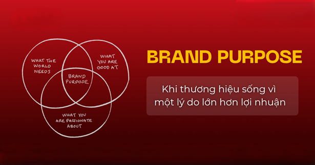 Brand Purpose & Core Values (Sứ mệnh - Giá trị cốt lõi)